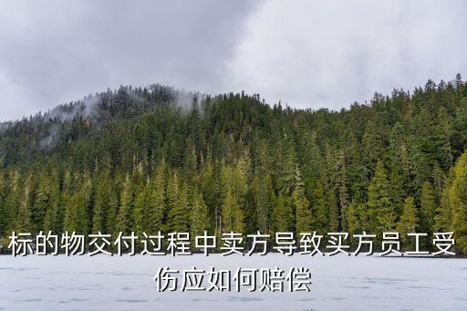 標的物交付過程中賣方導(dǎo)致買方員工受傷應(yīng)如何賠償