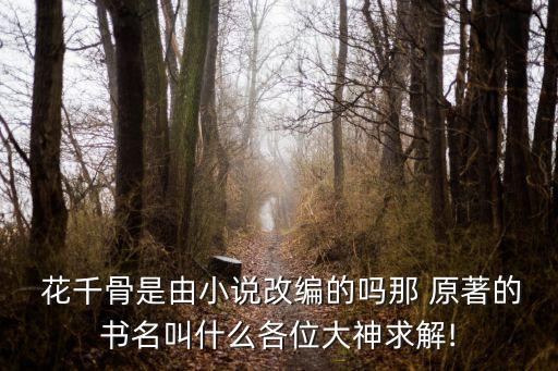 花千骨原著