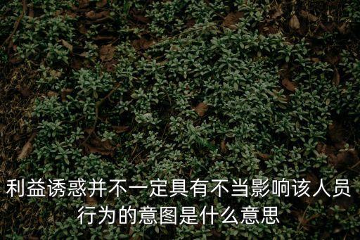 利益誘惑并不一定具有不當(dāng)影響該人員行為的意圖是什么意思