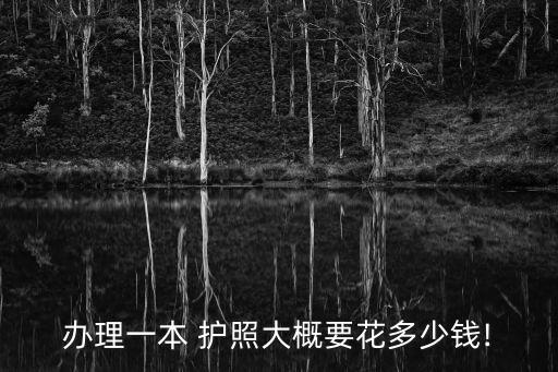 辦護(hù)照要多少錢,辦港澳通行證要多少錢