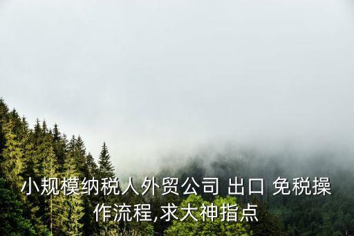 小規(guī)模納稅人外貿(mào)公司 出口 免稅操作流程,求大神指點(diǎn)