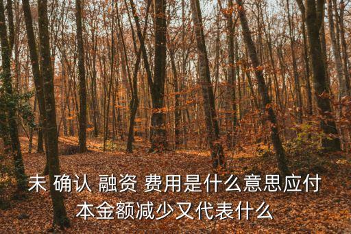 未 確認(rèn) 融資 費(fèi)用是什么意思應(yīng)付本金額減少又代表什么