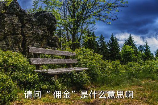 請問“ 傭金”是什么意思啊