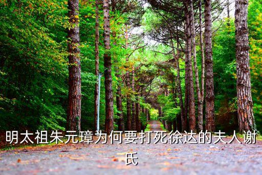 明太祖朱元璋為何要打死徐達(dá)的夫人謝氏