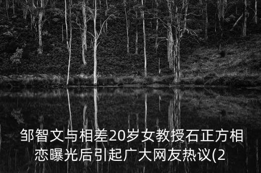 鄒智文