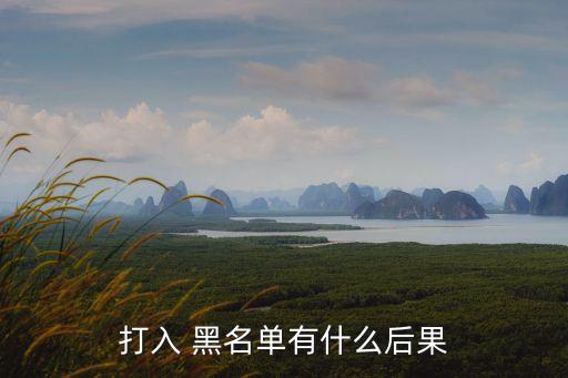 打入 黑名單有什么后果