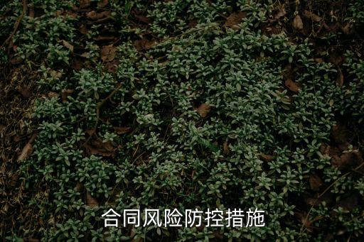  合同風(fēng)險(xiǎn)防控措施