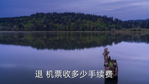 退 機(jī)票收多少手續(xù)費(fèi)