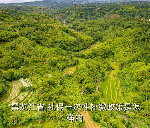  黑龍江省 社保一次性補(bǔ)繳政策是怎樣的