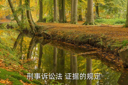 刑事訴訟法 證據(jù)的規(guī)定