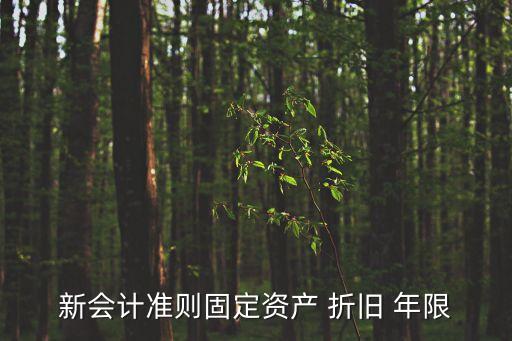 折舊年限的最新規(guī)定,無形資產(chǎn)折舊年限的最新規(guī)定