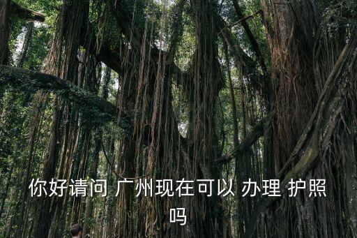 廣州護(hù)照辦理