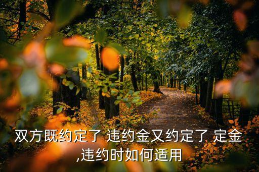 違約金與定金的適用,二建違約金定金賠償金適用規(guī)則