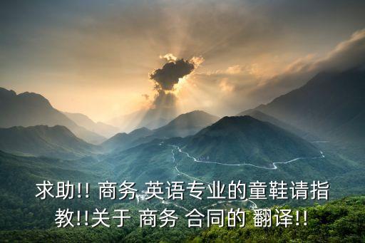 商務(wù)英語翻譯合同翻譯ppt