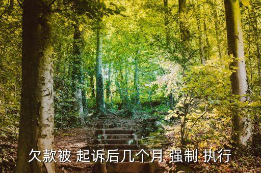 起訴后多久可以強(qiáng)制執(zhí)行,最新強(qiáng)制執(zhí)行申請書