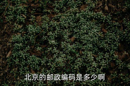 酒仙橋郵編,朝陽區(qū)酒仙橋街道郵編