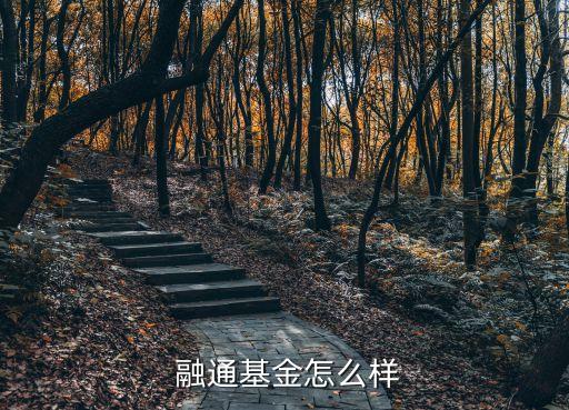 融通新藍(lán)籌