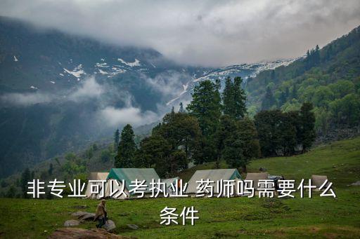  非專業(yè)可以考執(zhí)業(yè) 藥師嗎需要什么條件
