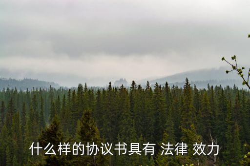 什么樣的協(xié)議書具有 法律 效力
