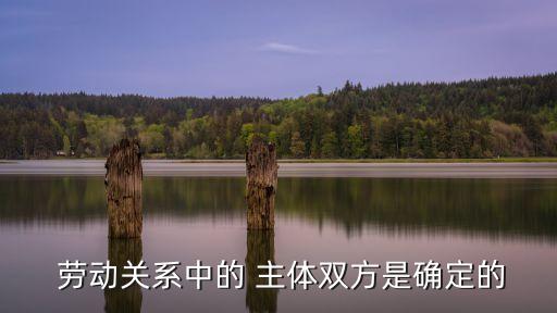  勞動關系中的 主體雙方是確定的