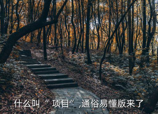 項(xiàng)目的定義,新技術(shù)新項(xiàng)目的定義