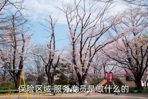 保險(xiǎn)區(qū)域 服務(wù)專員是做什么的