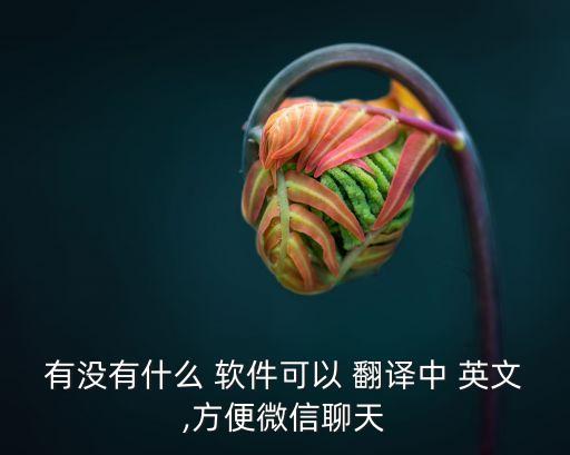 有沒有什么 軟件可以 翻譯中 英文,方便微信聊天