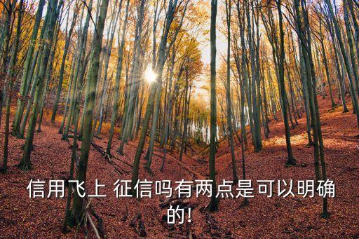 信用飛查征信嗎,不用征信的貸款app