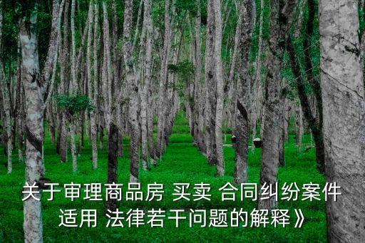 關于審理商品房 買賣 合同糾紛案件適用 法律若干問題的解釋》