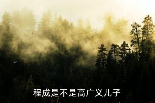 程大偉
