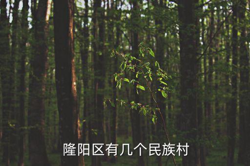 保山市隆陽(yáng)區(qū)