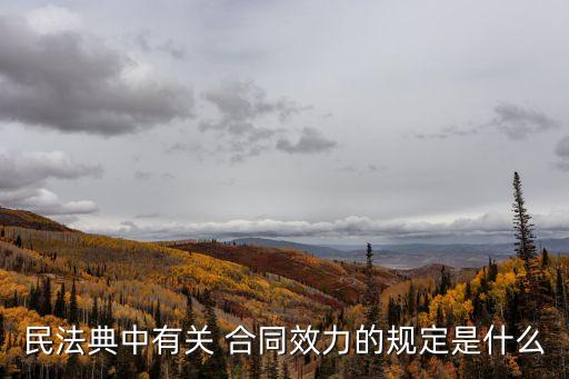 民法典中有關(guān) 合同效力的規(guī)定是什么
