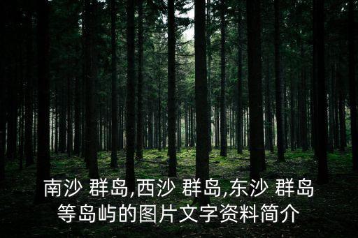 南沙 群島,西沙 群島,東沙 群島等島嶼的圖片文字資料簡介