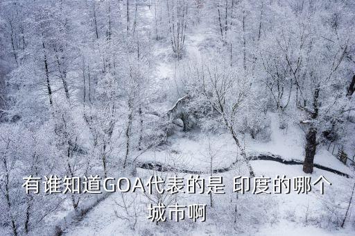 有誰知道GOA代表的是 印度的哪個城市啊