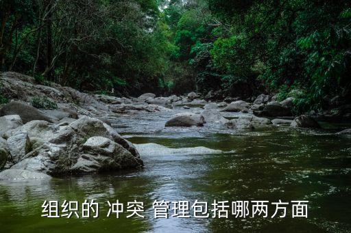 組織的 沖突 管理包括哪兩方面