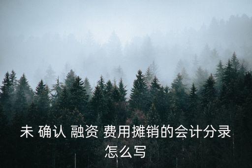 未確認(rèn)融資費(fèi)用