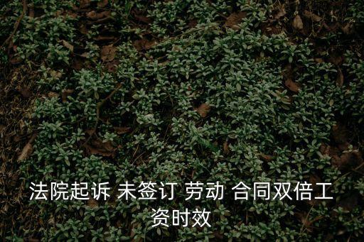 法院起訴 未簽訂 勞動 合同雙倍工資時效