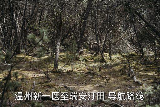 溫州新一醫(yī)至瑞安汀田 導(dǎo)航路線(xiàn)