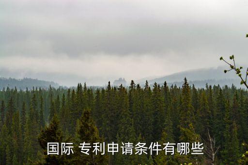  國際 專利申請條件有哪些