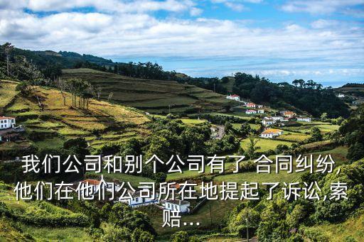 我們公司和別個公司有了 合同糾紛,他們在他們公司所在地提起了訴訟,索賠...