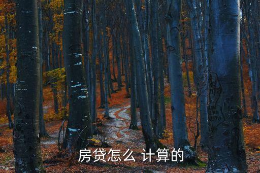  房貸怎么 計算的