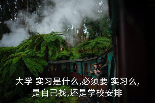 大學(xué) 實(shí)習(xí)是什么,必須要 實(shí)習(xí)么,是自己找,還是學(xué)校安排