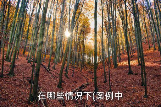 合同法106條規(guī)定