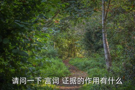 請問一下 言詞 證據(jù)的作用有什么