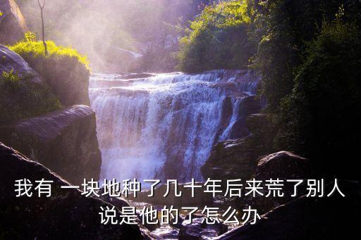 我有一塊地,兒歌我有一塊地