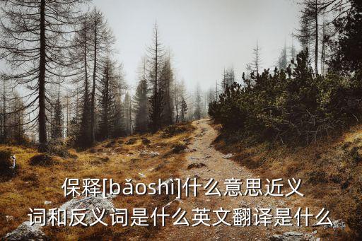  保釋[bǎoshì]什么意思近義詞和反義詞是什么英文翻譯是什么