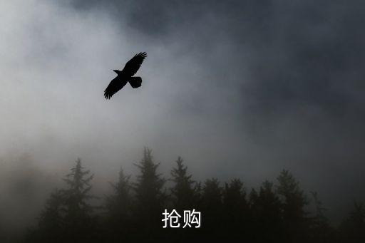 限時(shí)搶購(gòu)