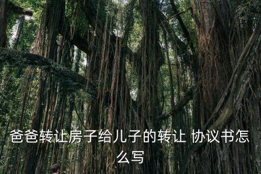 父母贈與子女房產(chǎn)協(xié)議書