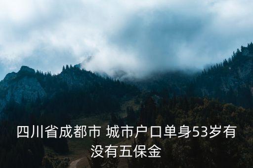 四川省成都市 城市戶(hù)口單身53歲有沒(méi)有五保金