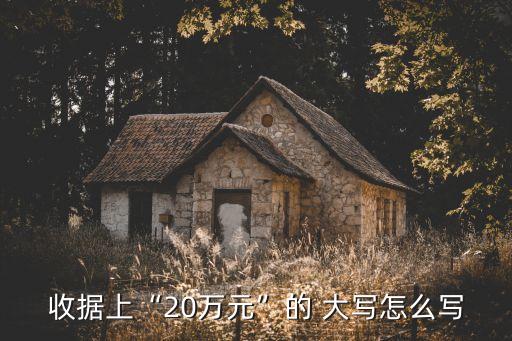 收據(jù)上“20萬元”的 大寫怎么寫